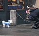 Filename=004.jpg
Filesize=91KiB
Dimensions=500x333
Date added=Apr 08, 2014 004.jpg