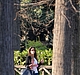 Filename=027.jpg
Filesize=177KiB
Dimensions=365x549
Date added=Mar 16, 2014 027.jpg