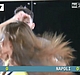 Filename=AVIT_0516.jpg
Filesize=127KiB
Dimensions=1021x568
Date added=Jan 23, 2014 AVIT_0516.jpg