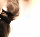 Filename=AVIT_0021.jpg
Filesize=111KiB
Dimensions=1280x720
Date added=Sep 06, 2014 AVIT_0021.jpg