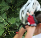 Filename=AVIT_0042.jpg
Filesize=242KiB
Dimensions=1280x720
Date added=Sep 06, 2014 AVIT_0042.jpg