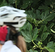 Filename=AVIT_0045.jpg
Filesize=229KiB
Dimensions=1280x720
Date added=Sep 06, 2014 AVIT_0045.jpg