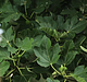 Filename=AVIT_0046.jpg
Filesize=244KiB
Dimensions=1280x720
Date added=Sep 06, 2014 AVIT_0046.jpg