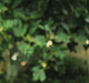 Filename=AVIT_0116.jpg
Filesize=178KiB
Dimensions=1280x720
Date added=Sep 06, 2014 AVIT_0116.jpg