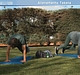 Filename=AVIT_0318.jpg
Filesize=557KiB
Dimensions=1280x720
Date added=Feb 19, 2022 AVIT_0318.jpg