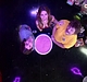 Filename=AVIT_0517.jpg
Filesize=55KiB
Dimensions=572x464
Date added=Jun 12, 2013 AVIT_0517.jpg