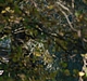 Filename=AVIT_0091.jpg
Filesize=314KiB
Dimensions=1920x1080
Date added=Apr 18, 2019 AVIT_0091.jpg