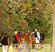 Filename=004.jpg
Filesize=116KiB
Dimensions=259x390
Date added=Nov 07, 2009 004.jpg