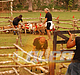 Filename=006.jpg
Filesize=112KiB
Dimensions=259x390
Date added=Nov 07, 2009 006.jpg