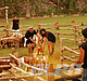 Filename=007.jpg
Filesize=115KiB
Dimensions=259x390
Date added=Nov 07, 2009 007.jpg