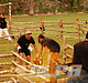Filename=008.jpg
Filesize=110KiB
Dimensions=259x390
Date added=Nov 07, 2009 008.jpg