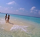 Filename=AVIT_0702.jpg
Filesize=126KiB
Dimensions=1024x570
Date added=Apr 27, 2014 AVIT_0702.jpg